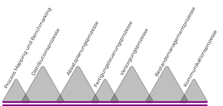 Analysegebiete Supply Chain Consulting